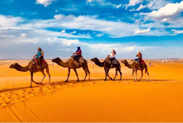 Affordable Tour Morocco: Budget Travel Guide to Explore Morocco Without Overspending